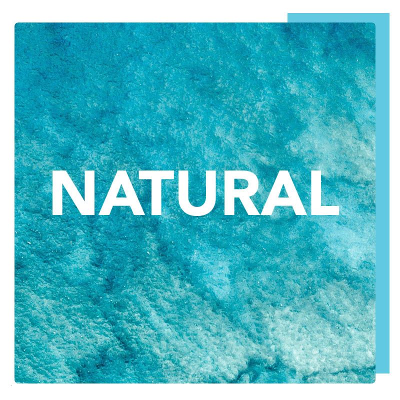Natural Marine Icon
