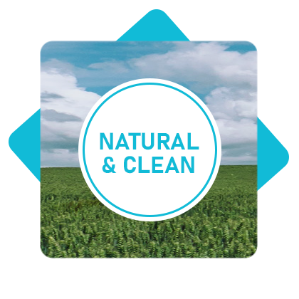 Natural & Clean Icon for Keto Collagen