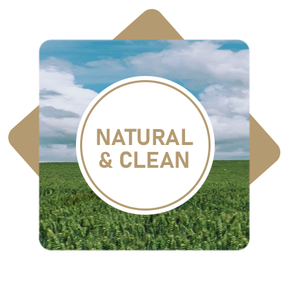 Natural & Clean Icon with Brown Background