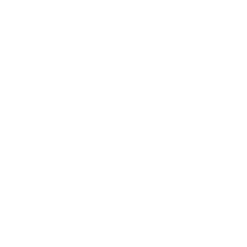 natural leaf icon