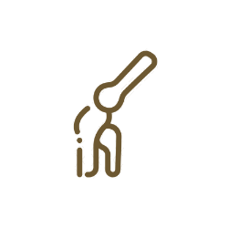 healthy joints icon