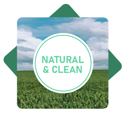 natural and clean icon for collagen maximizer plus